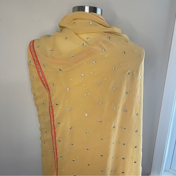 TRADITIONAL SARI DUPATTA Chiffon with Sequin and Bead Embellishments - Picture 6 of 7